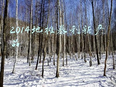 2014地摊暴利新产品