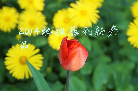 2014地摊暴利新产品