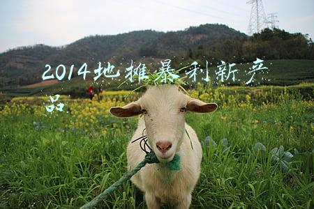 2014地摊暴利新产品
