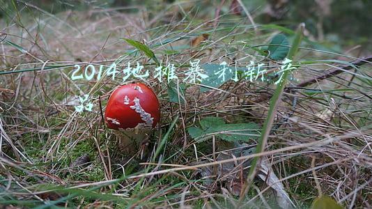 2014地摊暴利新产品