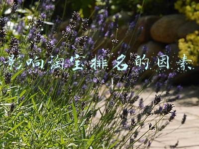影响淘宝排名的因素