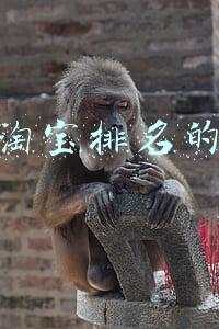 影响淘宝排名的因素
