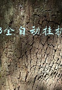 2013全自动挂机赚钱