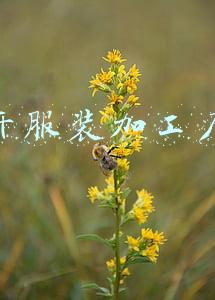开服装加工厂