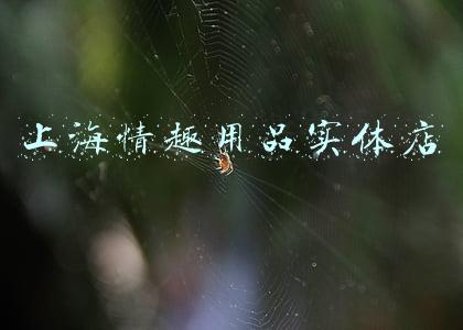 情趣实体店(“成人体验馆”生意火爆 打色情“擦边球”该如何管？)
