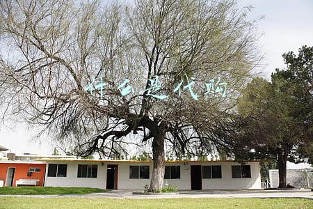 什么是代沟(“代沟”是如何形成的？)