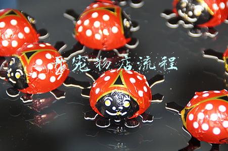 开宠物店流程