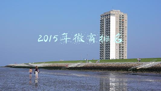 2015年微商排名