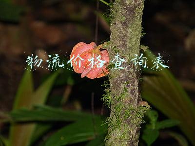 物流价格查询表