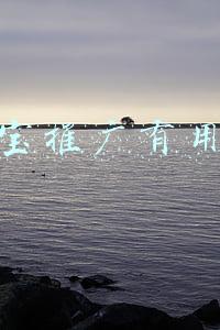 淘宝推广有用吗