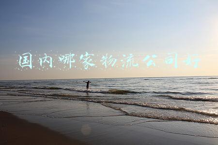 国内哪家物流公司好