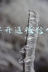 怎么样开通微信公众号