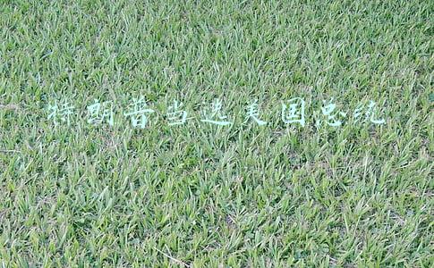 特朗普当选美国总统