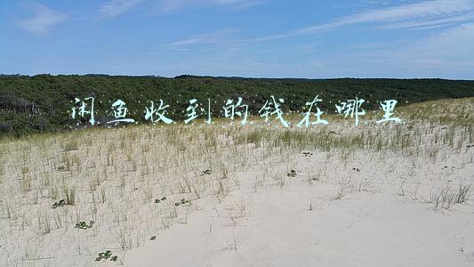 闲鱼收到的钱在哪里 没有支付宝(手把手教你使用闲鱼)