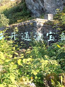 怎么开通淘宝直播