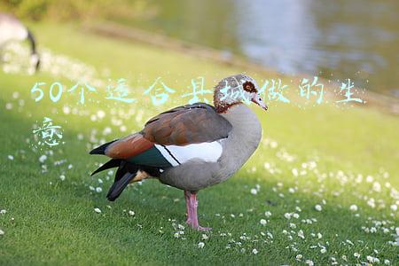 县级城市适合做什么生意(小县城做什么生意赚钱？2021年适合县城做的几种小生意)