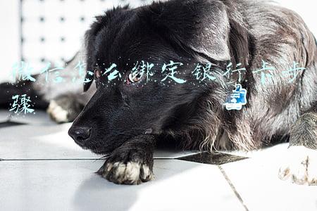 微信怎么绑定银行卡步骤,怎么提现(《微信》添加绑定银行卡教程)