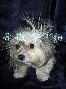 如何开微店详细步骤