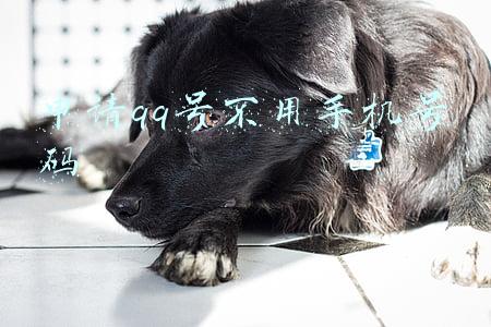 申请qq号不用手机号码也不用验证码(手机qq如何申请小号)