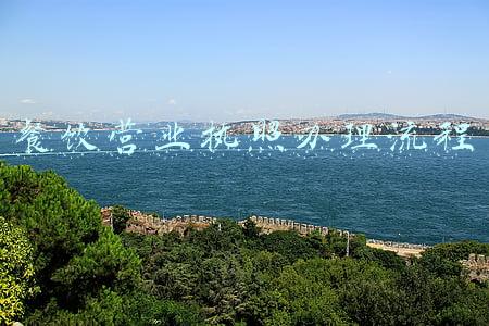餐饮营业执照办理流程