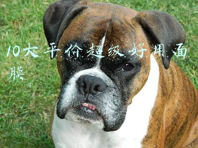 10大平价超级好用面膜