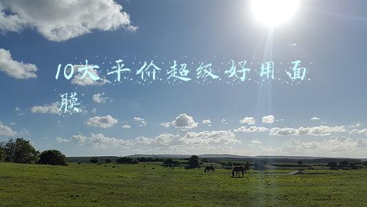 10大平价超级好用面膜