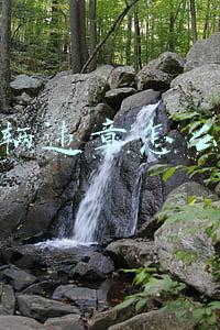 车辆违章怎么查
