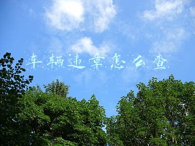 车辆违章怎么查