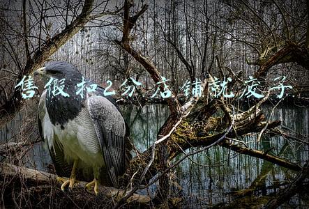 售假扣2分店铺就废了
