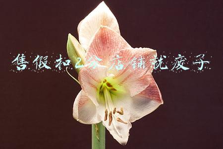 售假扣2分店铺就废了