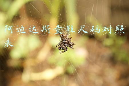 阿迪达斯童鞋尺码对照表 阿迪达斯童鞋尺码对照表