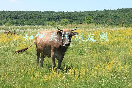 如何关闭朋友圈