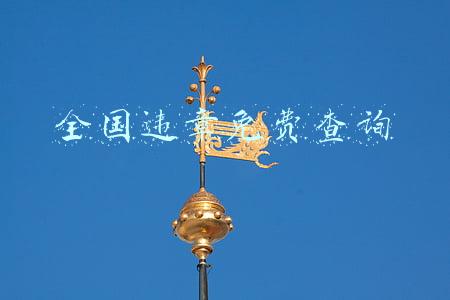 全国违章免费查询系统(交管12123查看记分和状态)