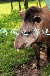 如何做电商运营