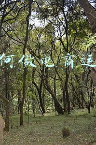 如何做电商运营
