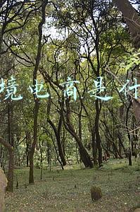 跨境电商是什么