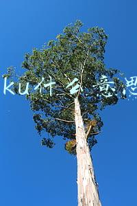 sku什么意思