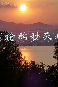 淘宝抢购秒杀软件