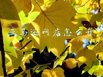 亚马逊网店怎么开