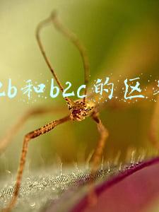 b2b和b2c的区别