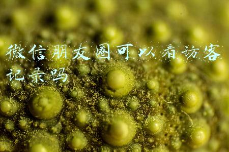 微信朋友圈可以看访客记录吗