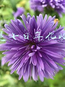 什么是七日年化收益率