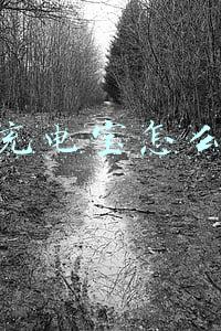 共享充电宝怎么收费