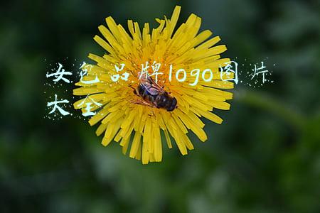 女包品牌logo图片大全