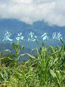 收废品怎么赚钱