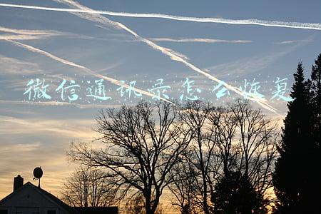 微信通讯录怎么恢复