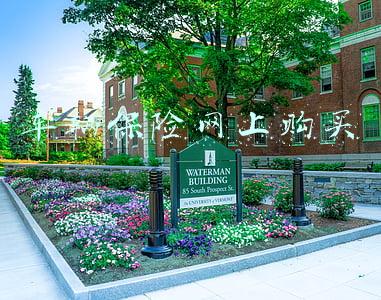 网上车险(同城天下：什么是网上车险？)