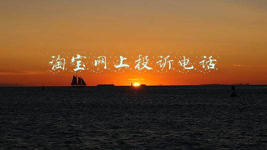 淘宝网上投诉电话