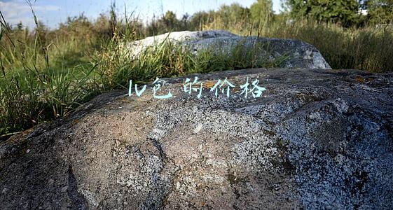 lv包的价格