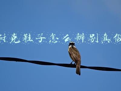 耐克鞋子怎么辨别真假